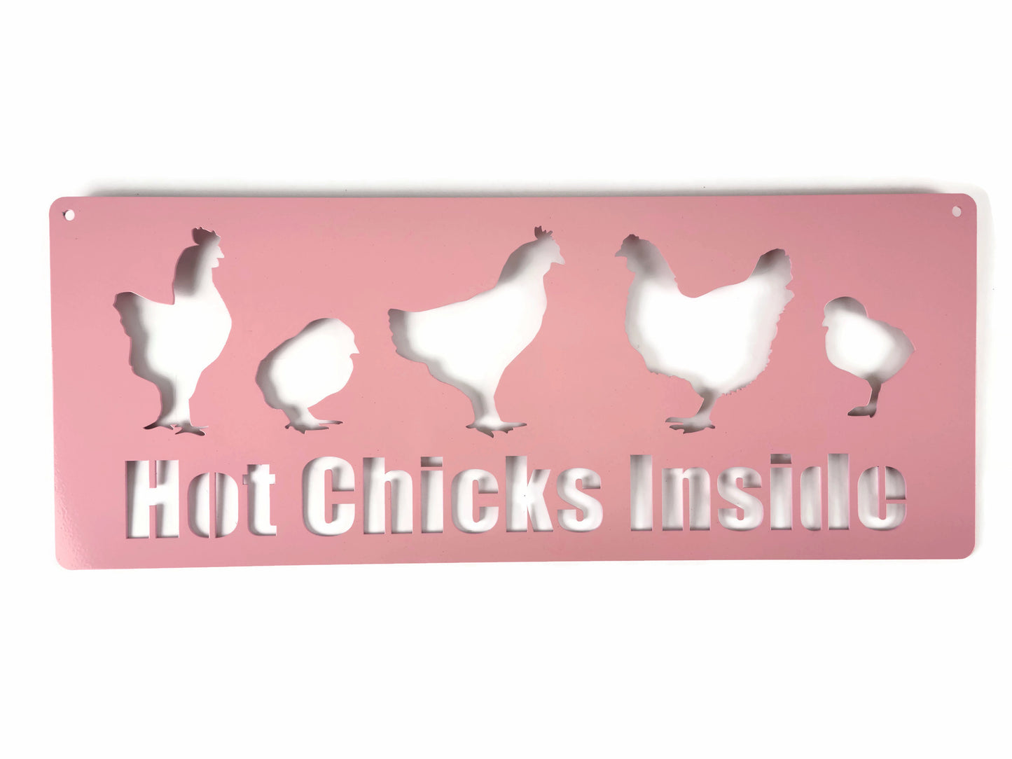 Hot Chicks Inside metal hanging garden sign in pink powder coat