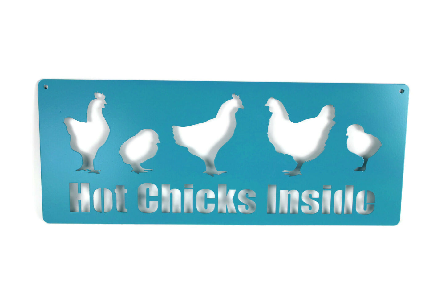 Hot Chicks Inside metal hanging garden sign in light turquoise powder coat