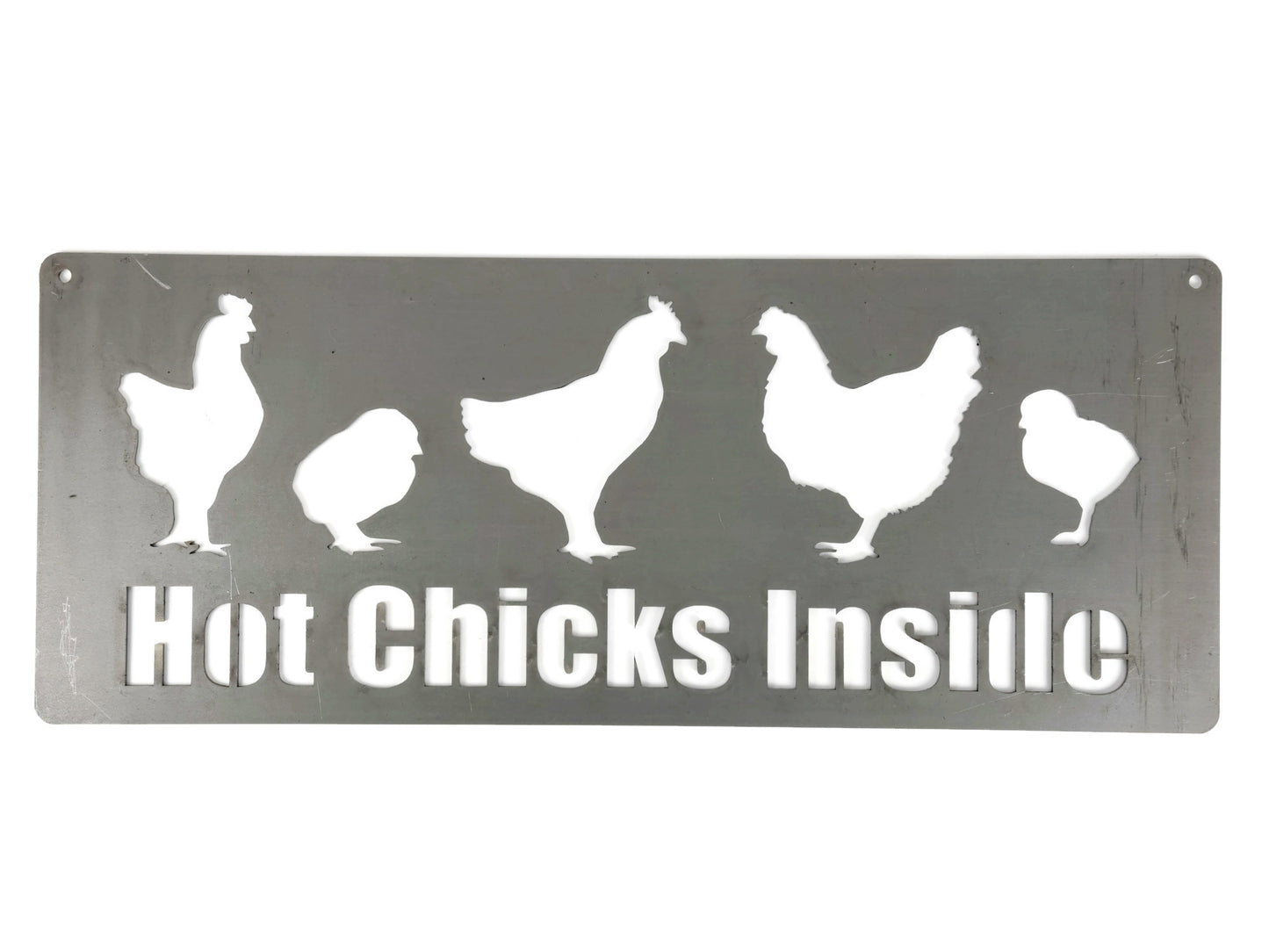 Hot Chicks Inside metal hanging garden sign in raw steel