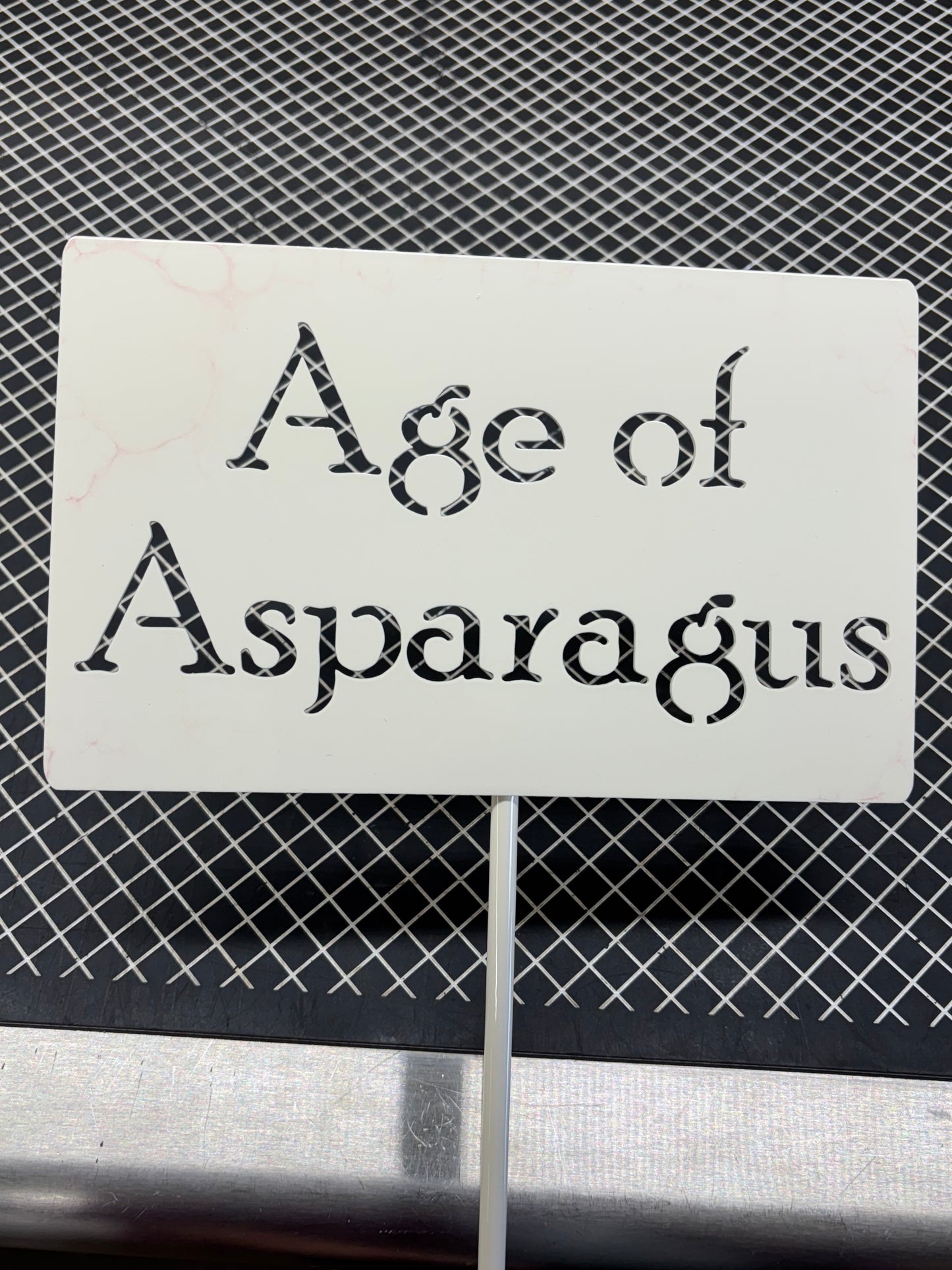 Age of Asparagus Metal Garden Stake 20 to 48 Inches Tall