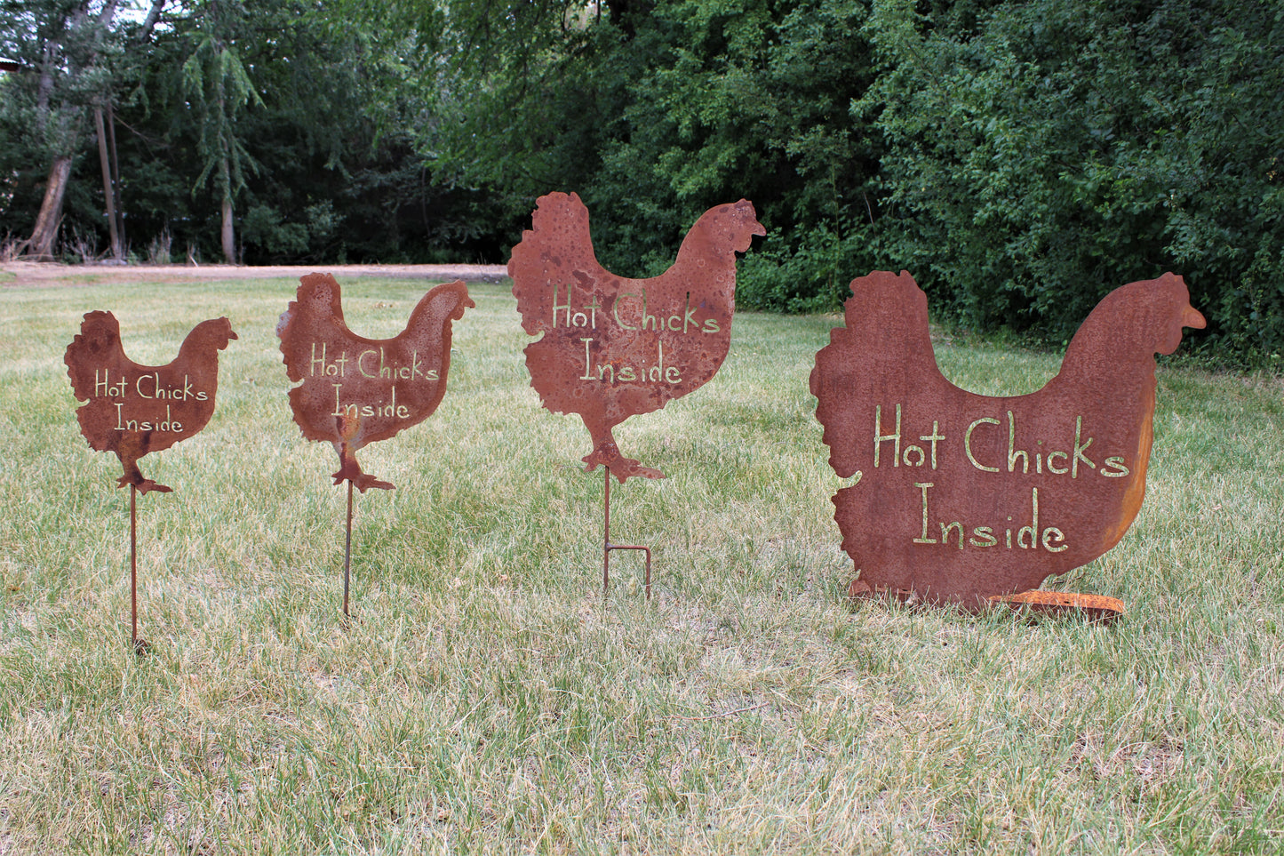 Hot Chicks Inside small, medium, large, and extra large rusty metal garden stake