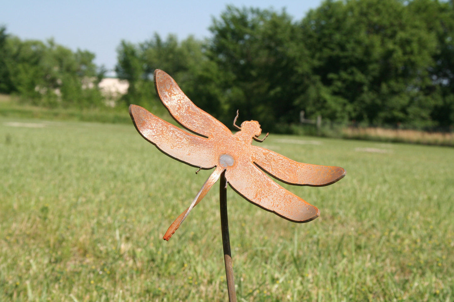 Metal dragonfly garden stake in rust