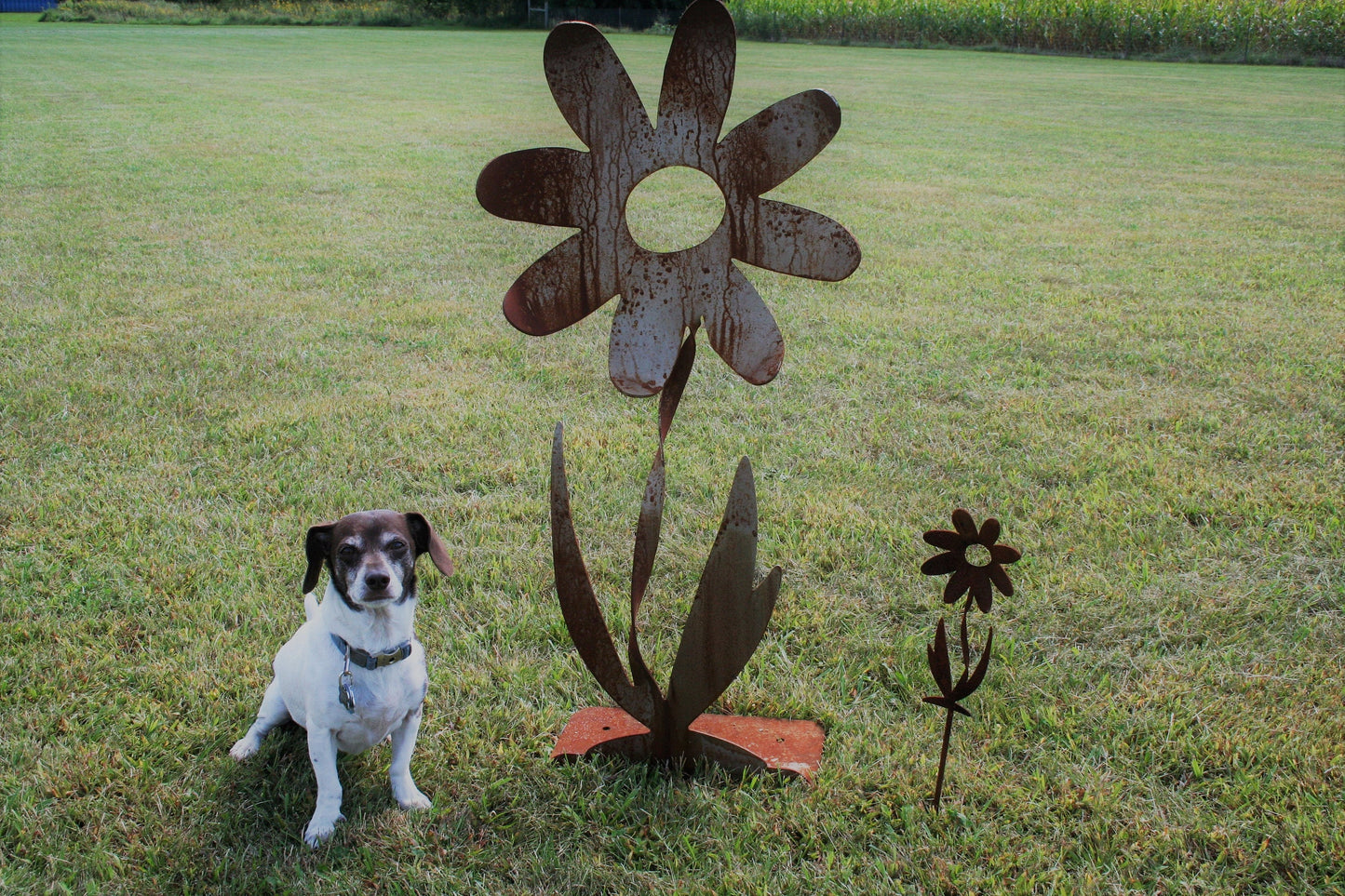 Metal Daisy Flower Giant Rustic Stake 24 to 36 Inches Tall