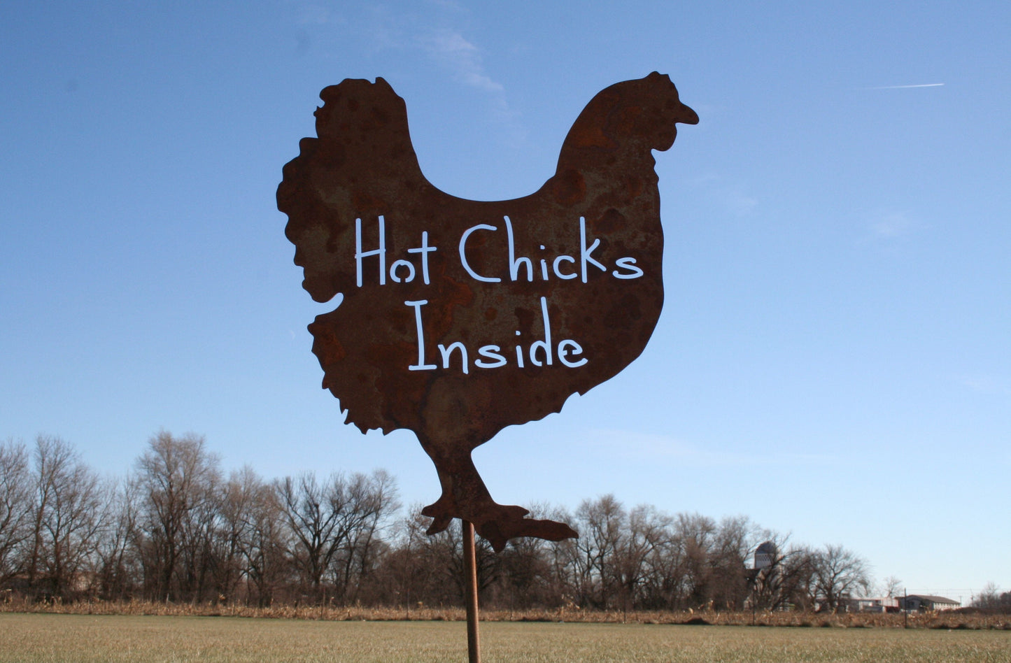 Hot Chicks Inside rusty metal garden stake