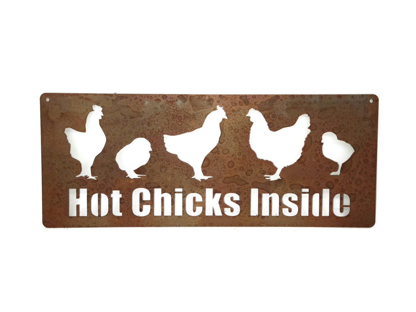 Hot Chicks Inside metal hanging garden sign in rust