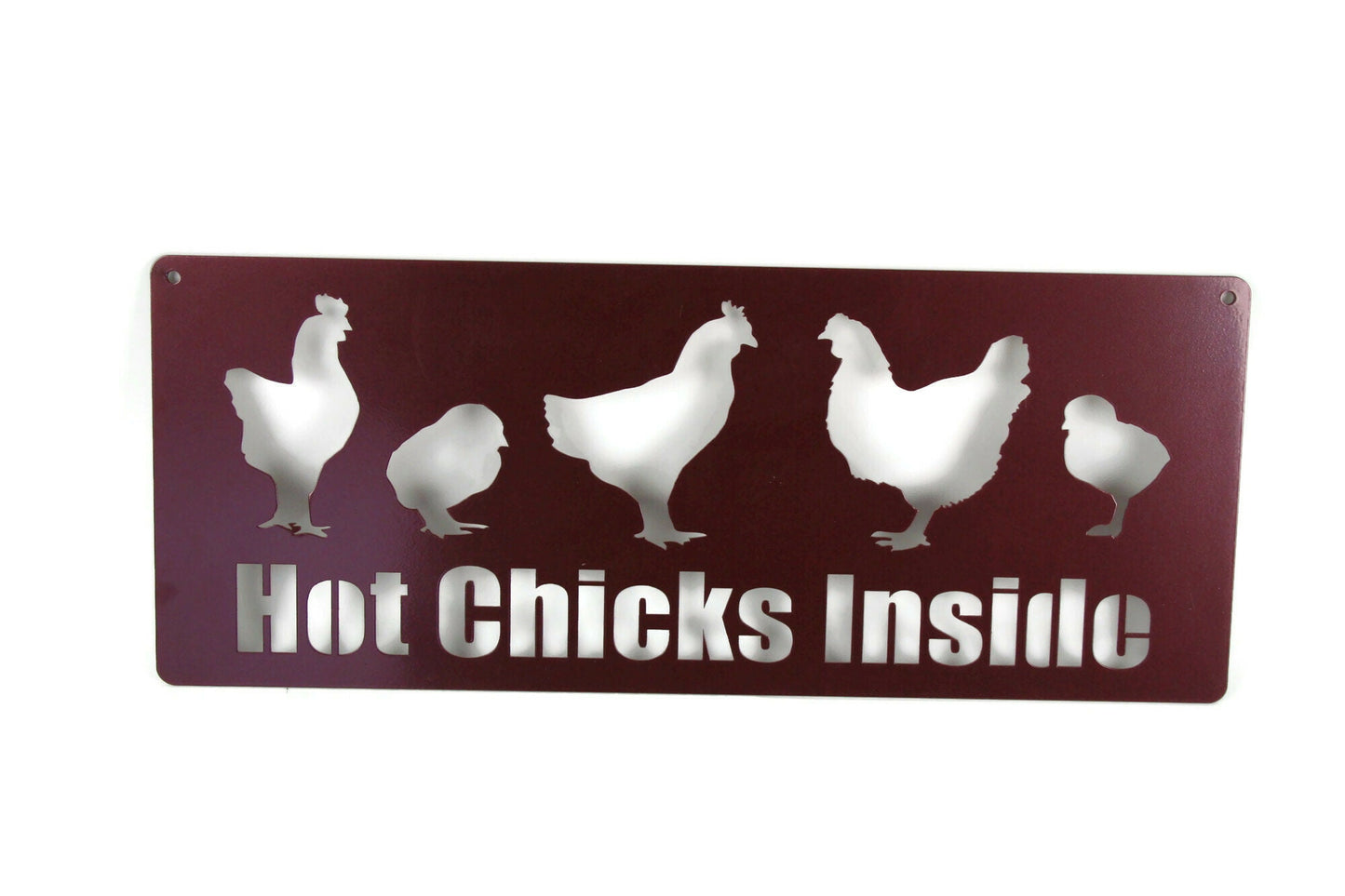 Hot Chicks Inside metal hanging garden sign in metallic plum powder coat