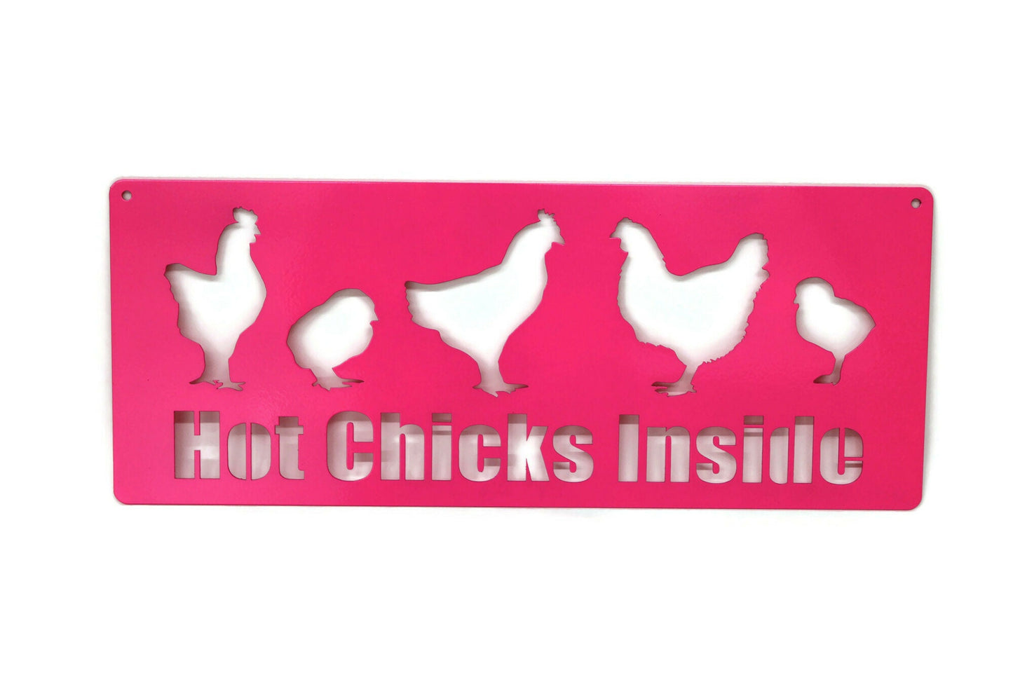 Hot Chicks Inside metal hanging garden sign in neon pink powder coat
