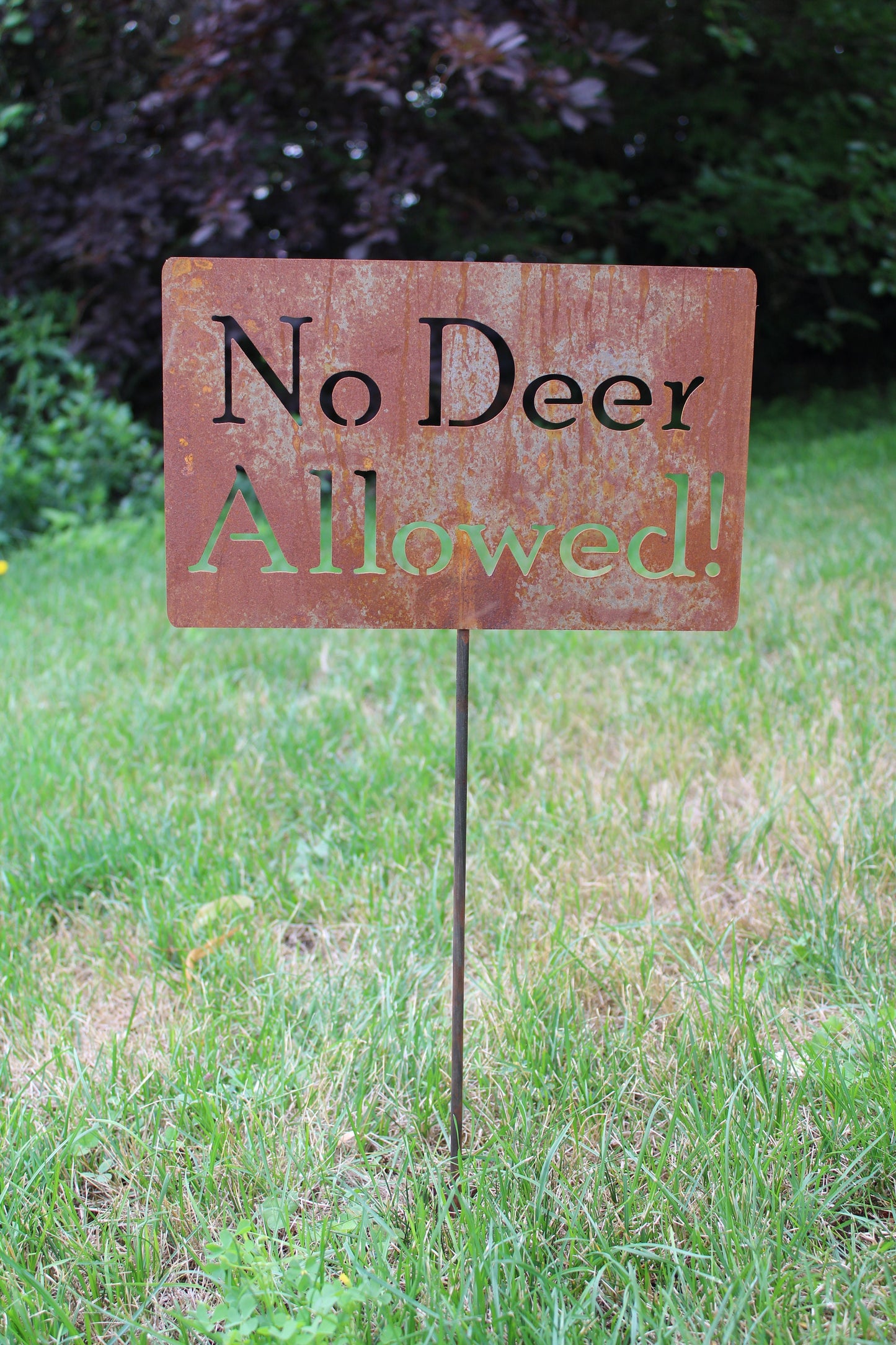 No Deer Allowed rusty garden stake sign