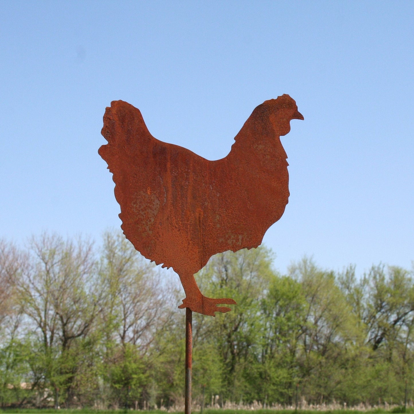 Rusty metal chicken garden stake