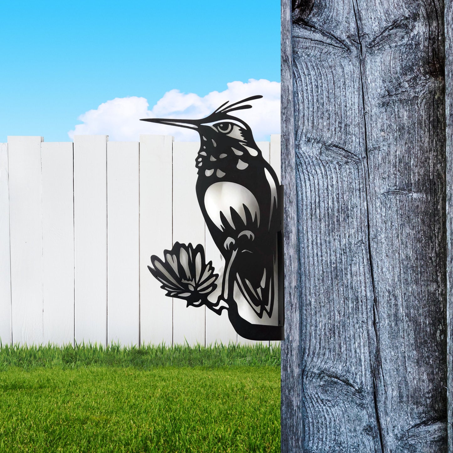 Metal hummingbird peek a boo sign in black powder coat