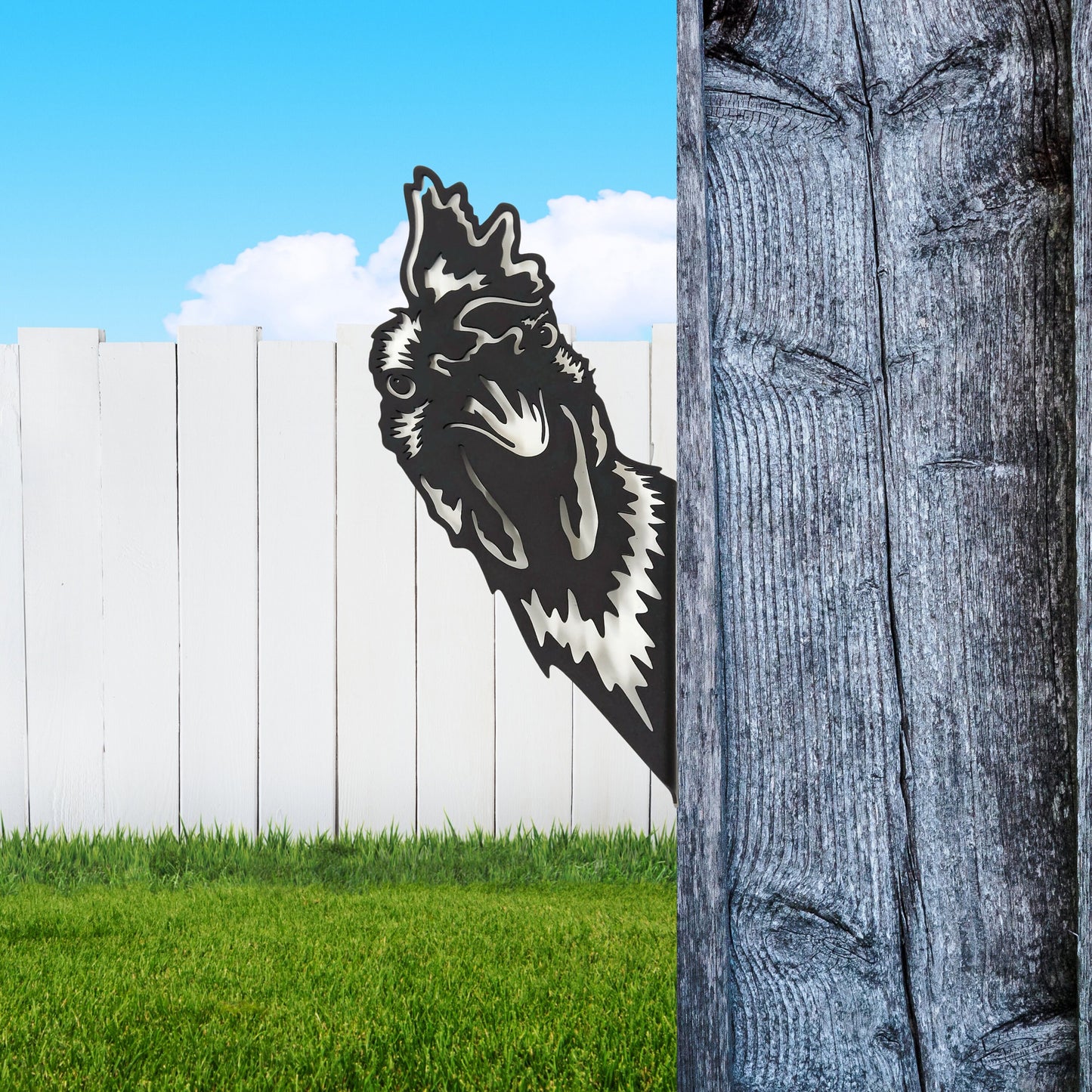 Black powder coat metal rooster head peeking around a tree