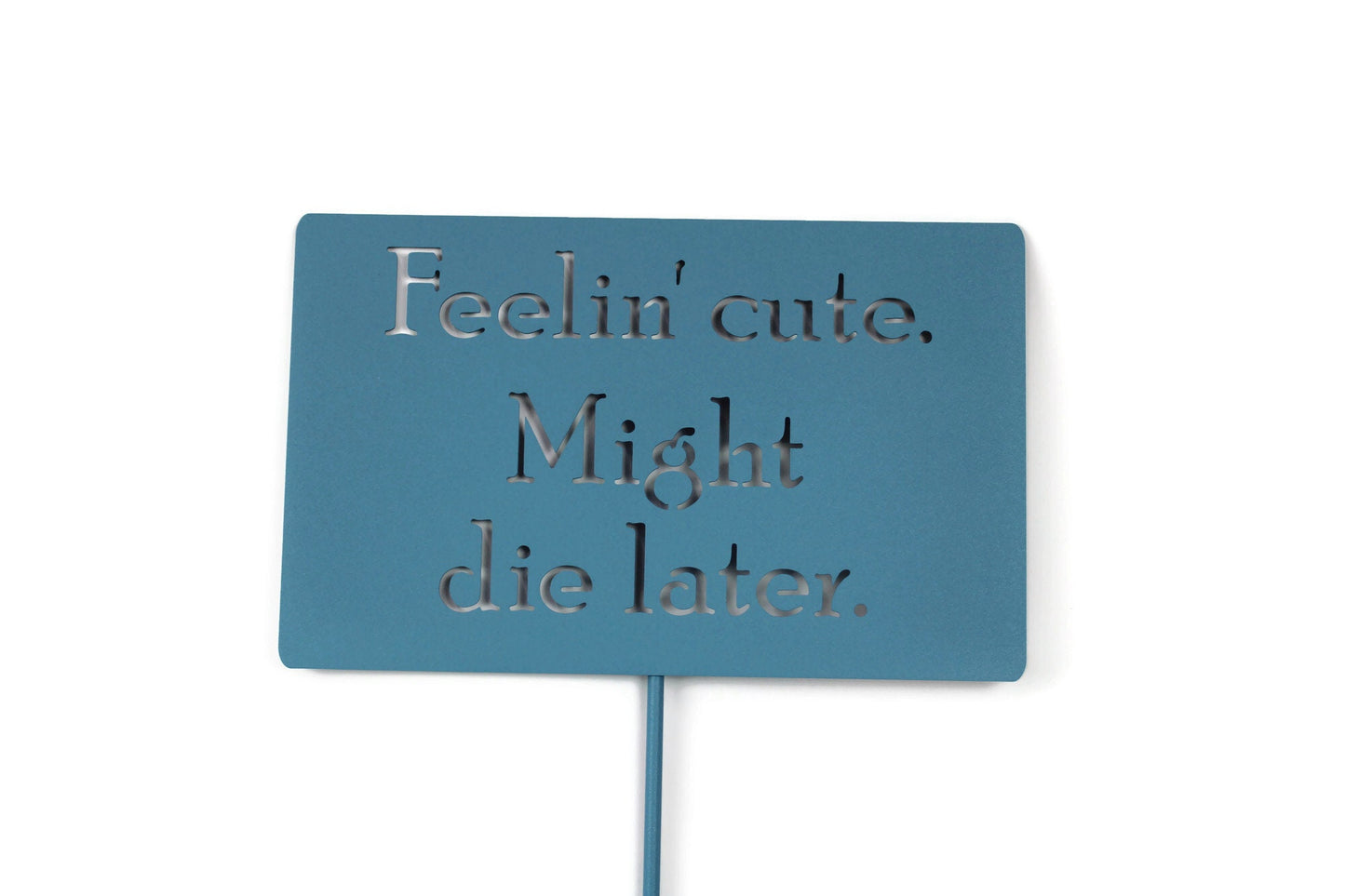Feelin Cute Might Die Later light blue powder coated garden stake sign
