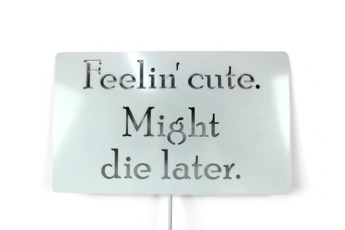 Feelin Cute Might Die Later mint white powder coated garden stake sign