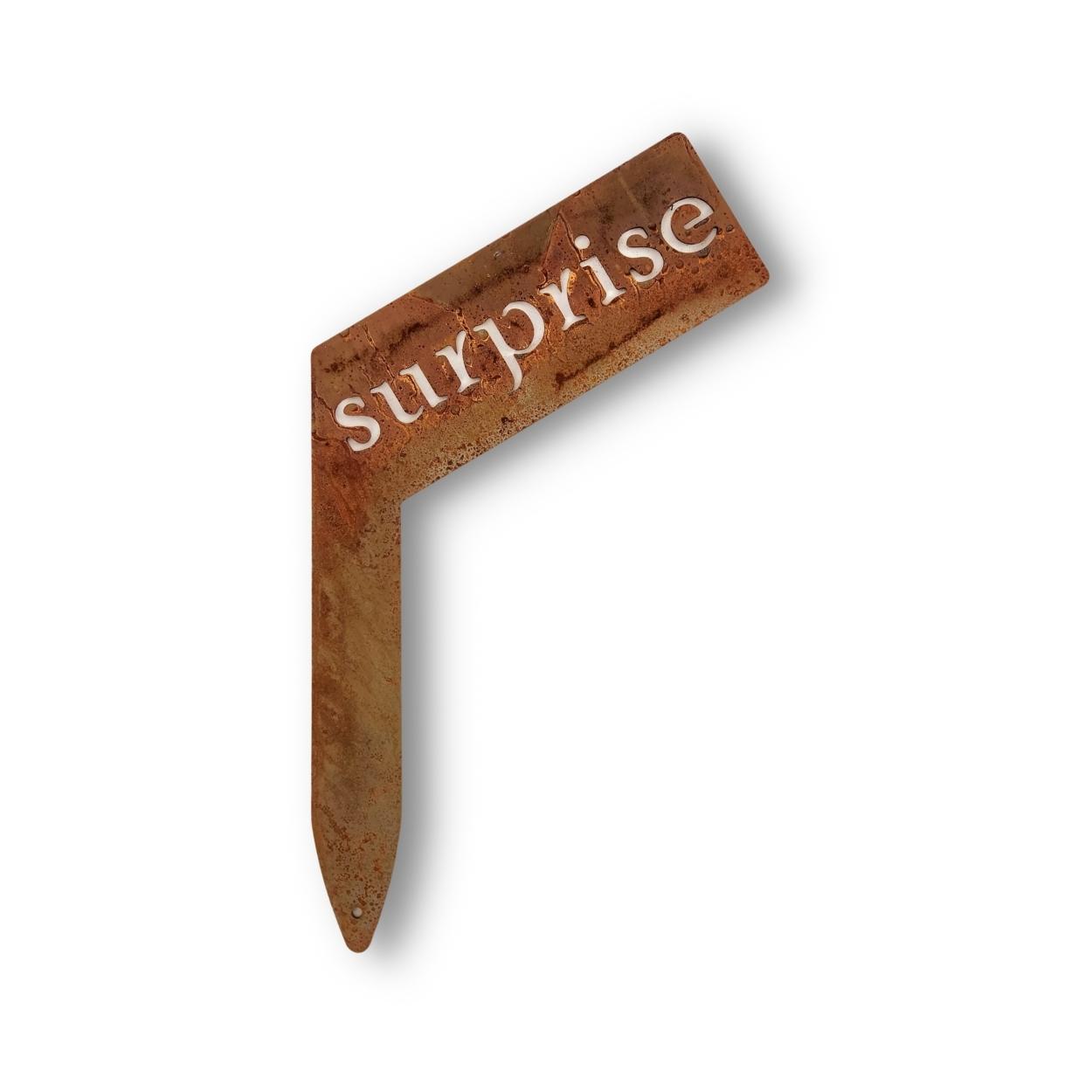 surprise