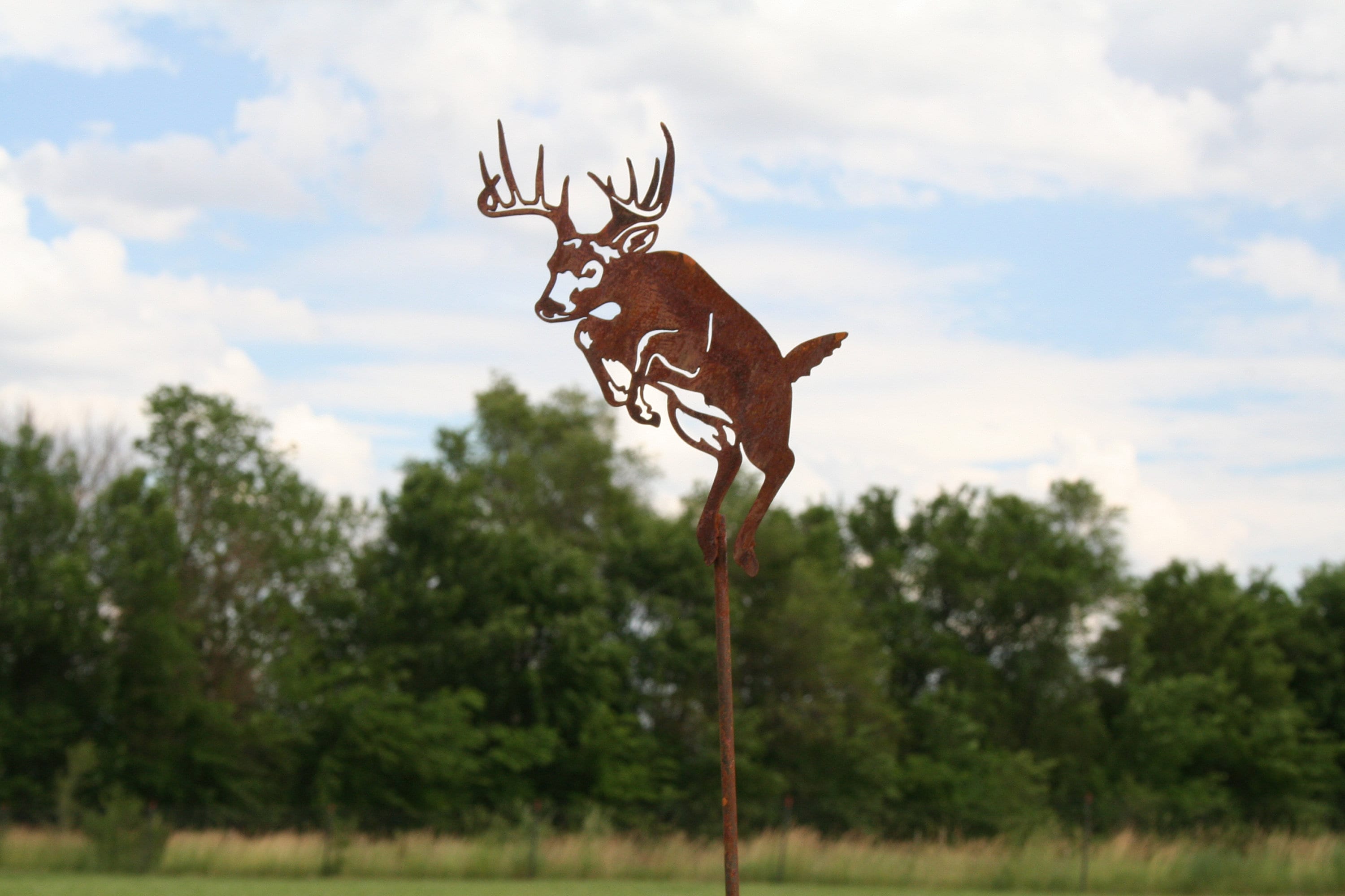 Wildlife & Outdoors | 81 Metal Art