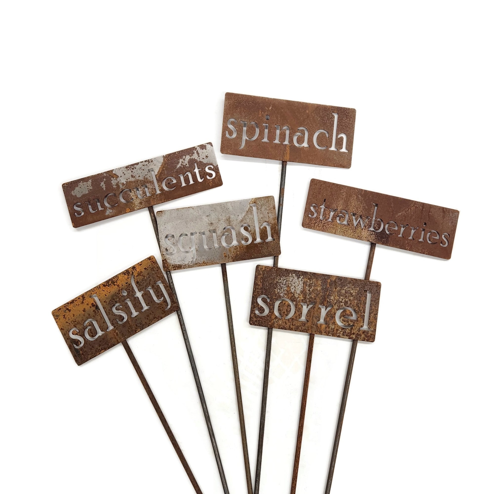 Rusty garden markers for succulents, spinach, salsify, squash, strawberries, sorrel