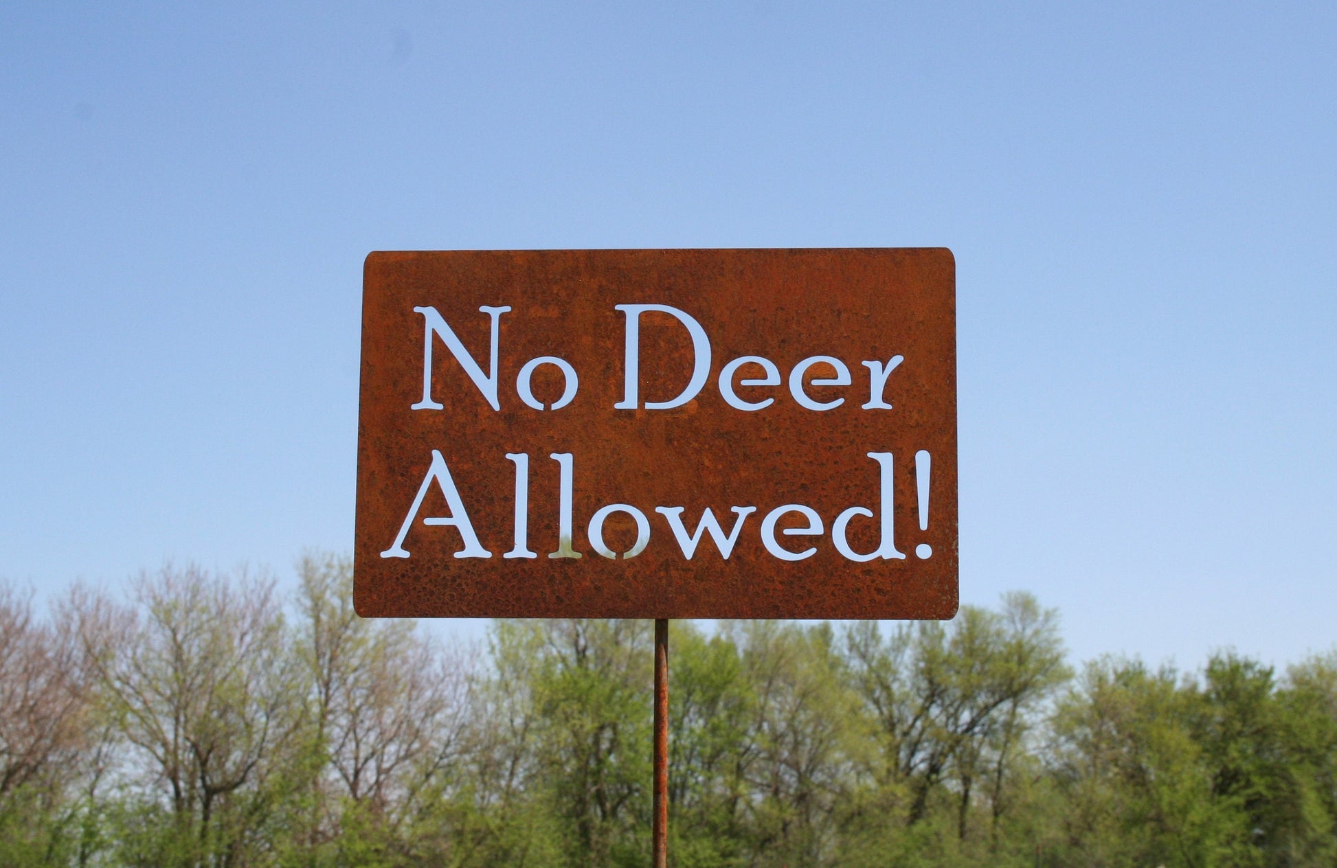 No Deer Allowed rusty garden stake sign