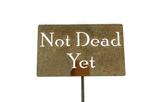 Not Dead Yet rusty garden stake sign