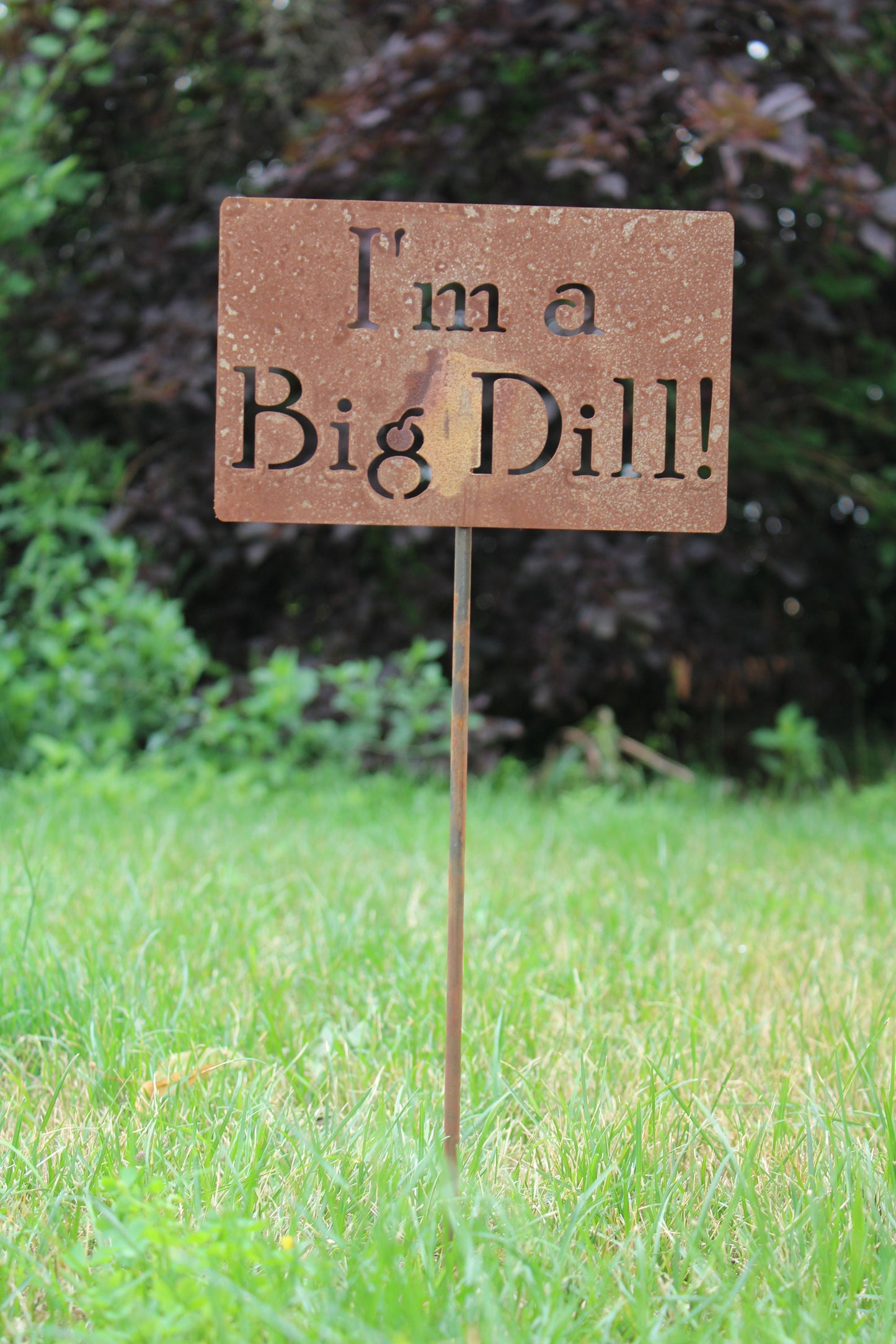 I'm A Big Dill rusty garden stake sign