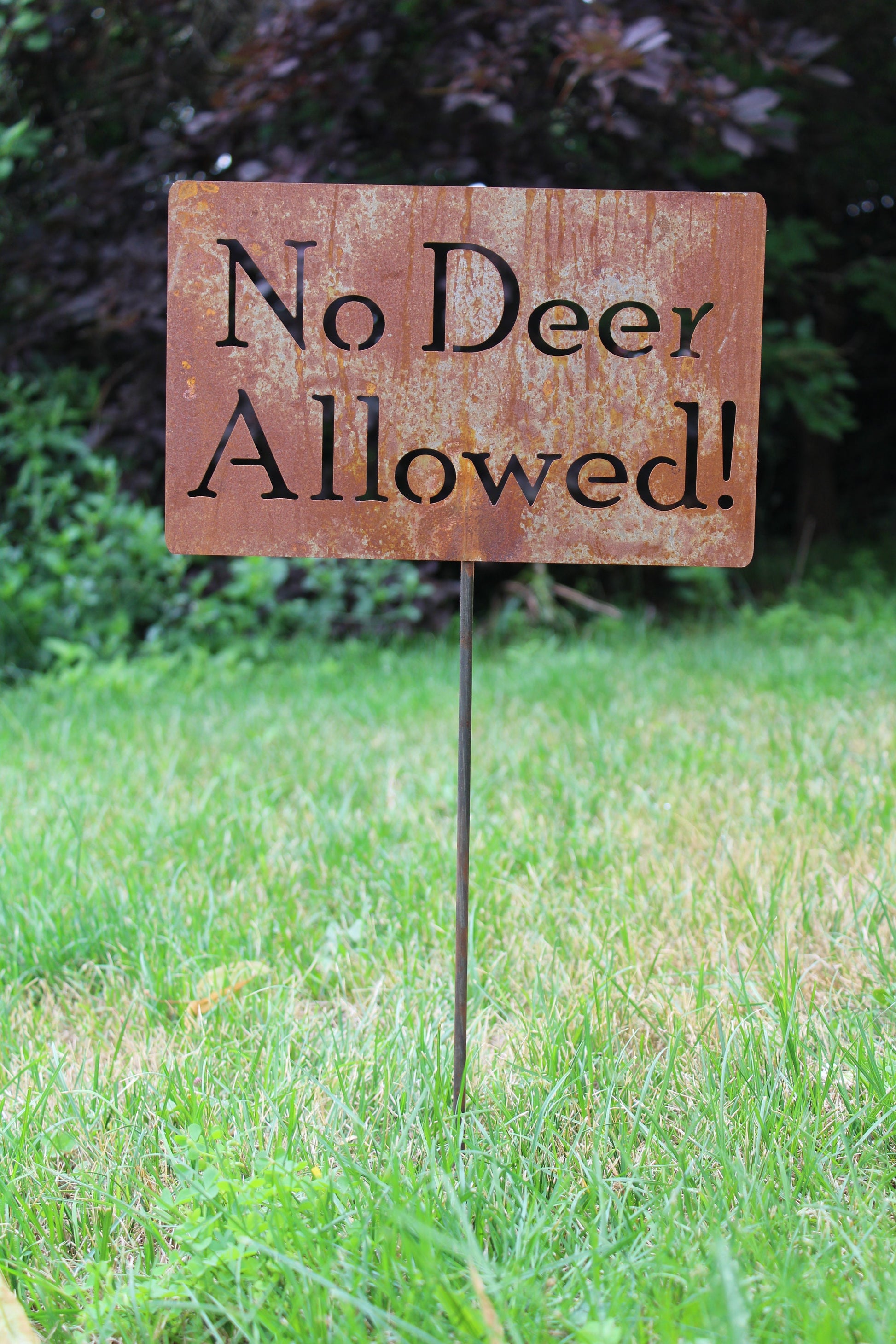 No Deer Allowed rusty garden stake sign