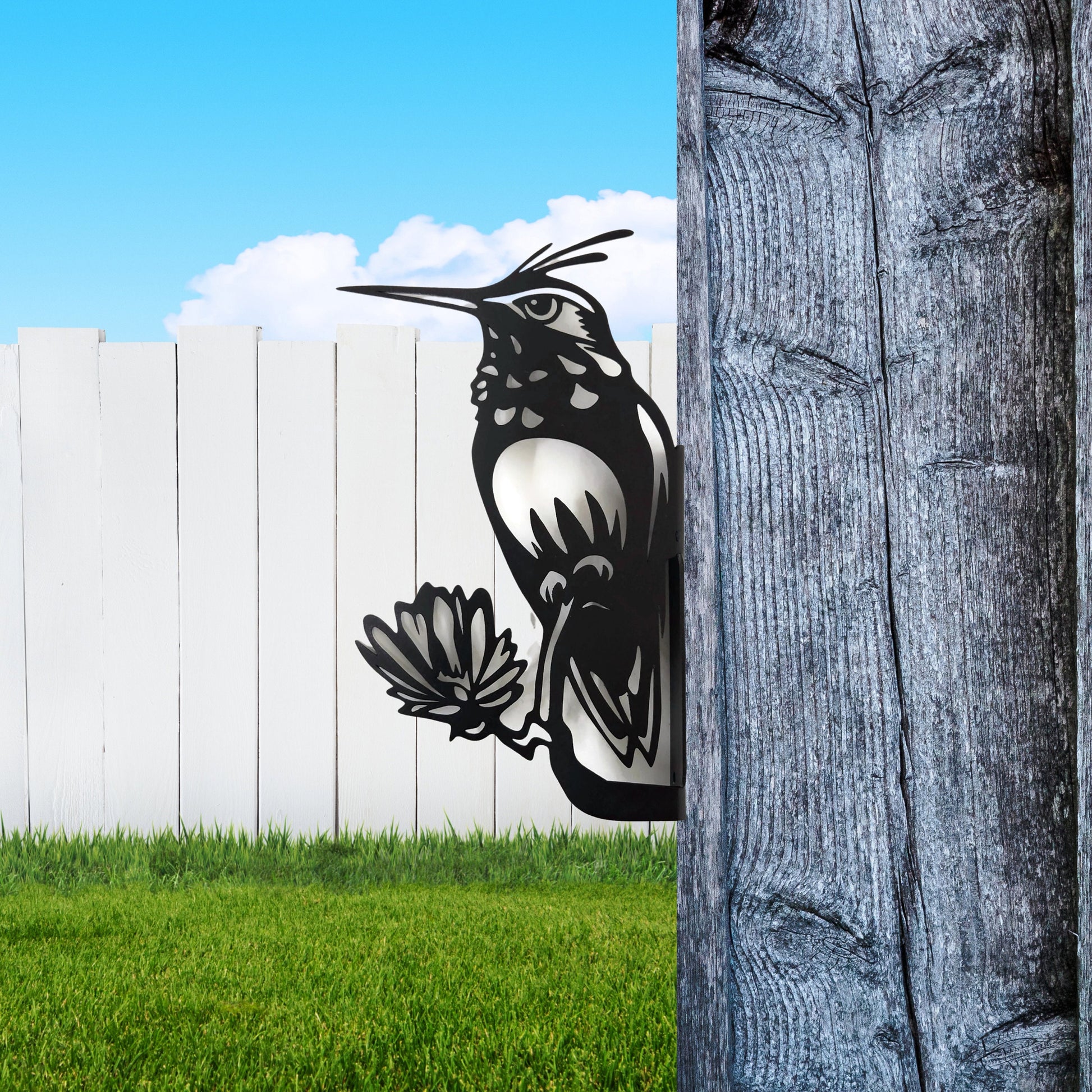Metal hummingbird peek a boo sign in black powder coat