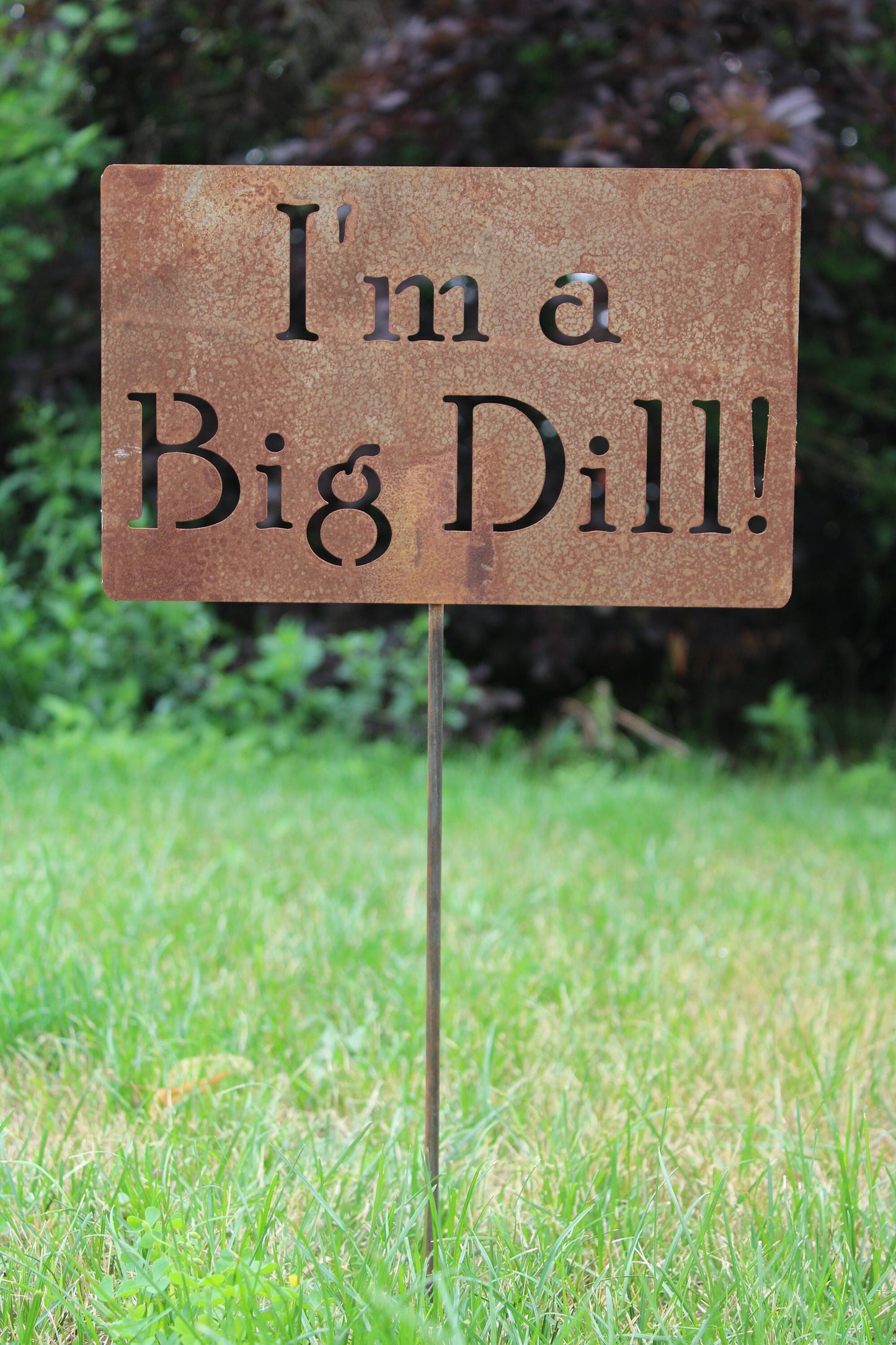I'm A Big Dill rusty garden stake sign