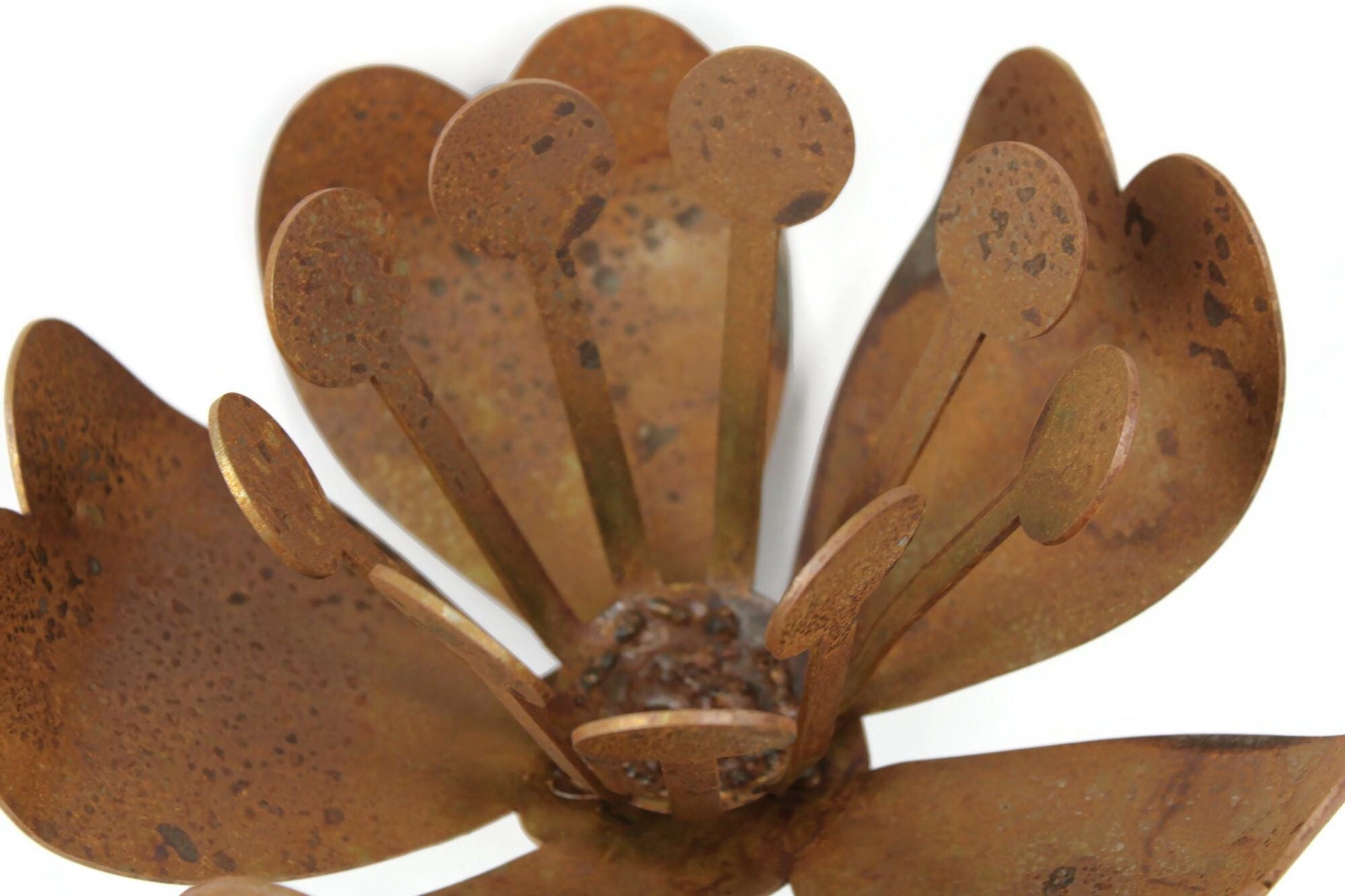 Daffodil and magnolia flower inspired rusty metal garden stake